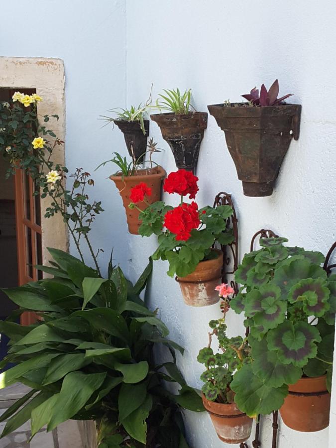 Rua Das Rosas 22/B&B Figueira da Foz Exteriör bild